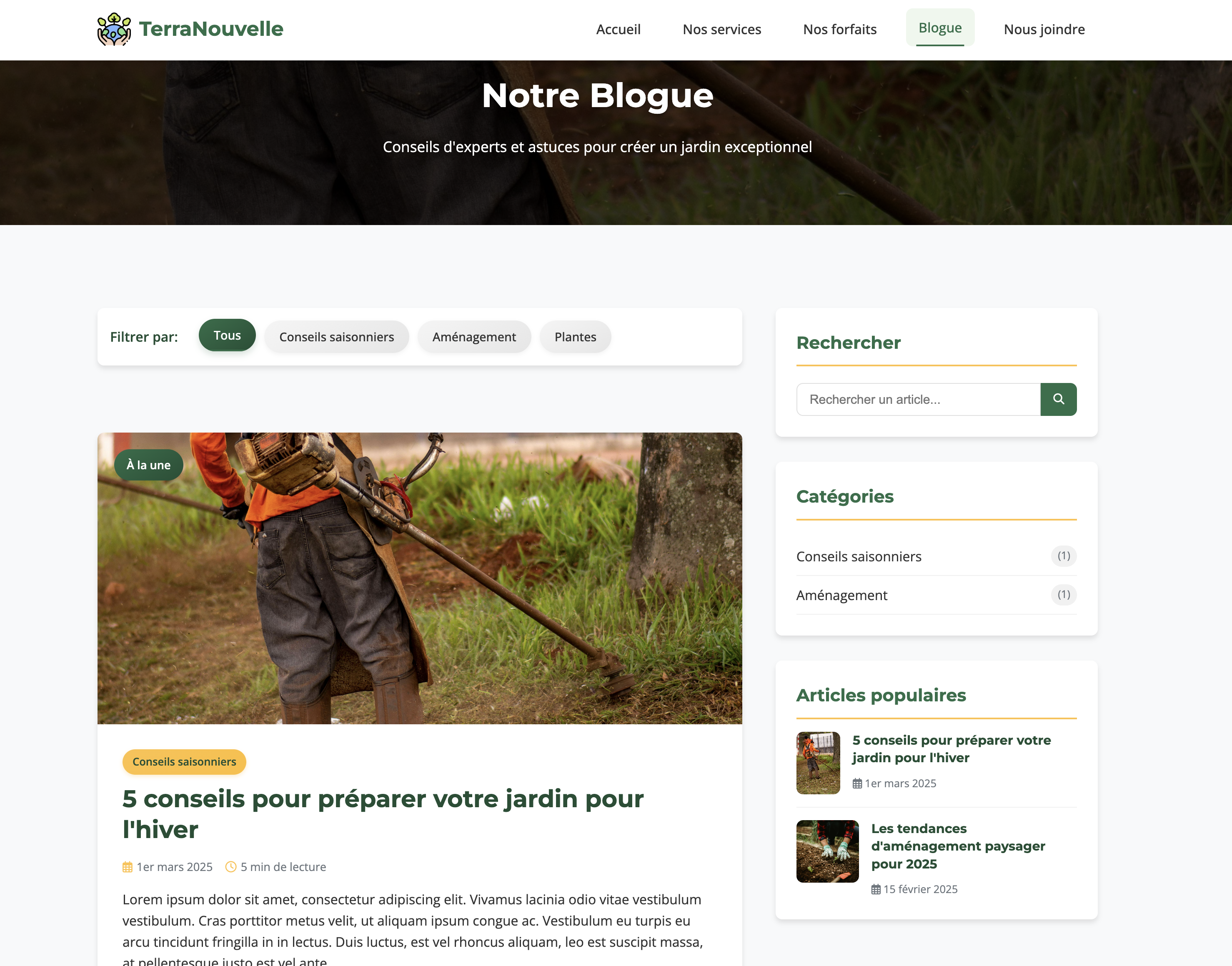 Optimisation de Blog